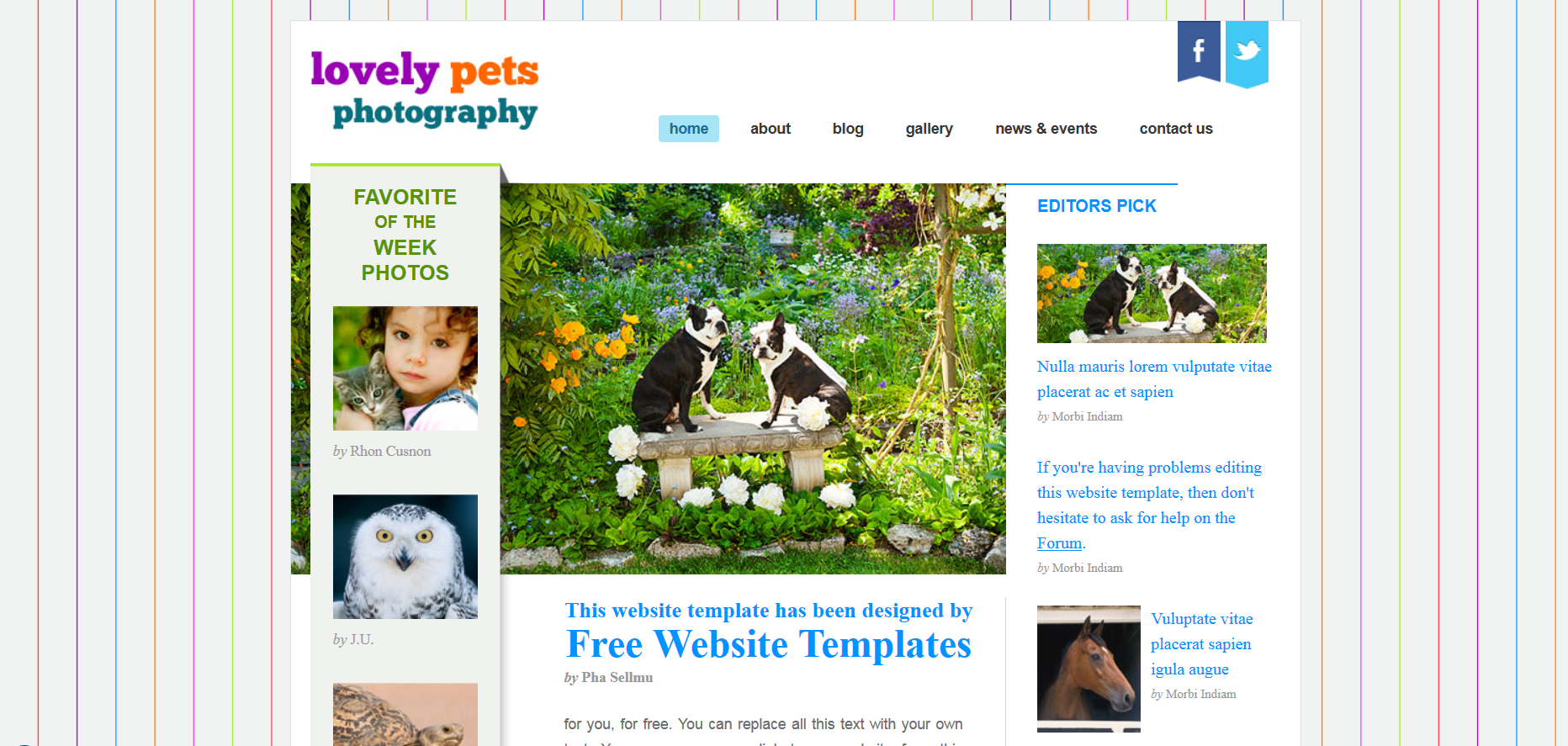 Шаблон сайта Животные №603