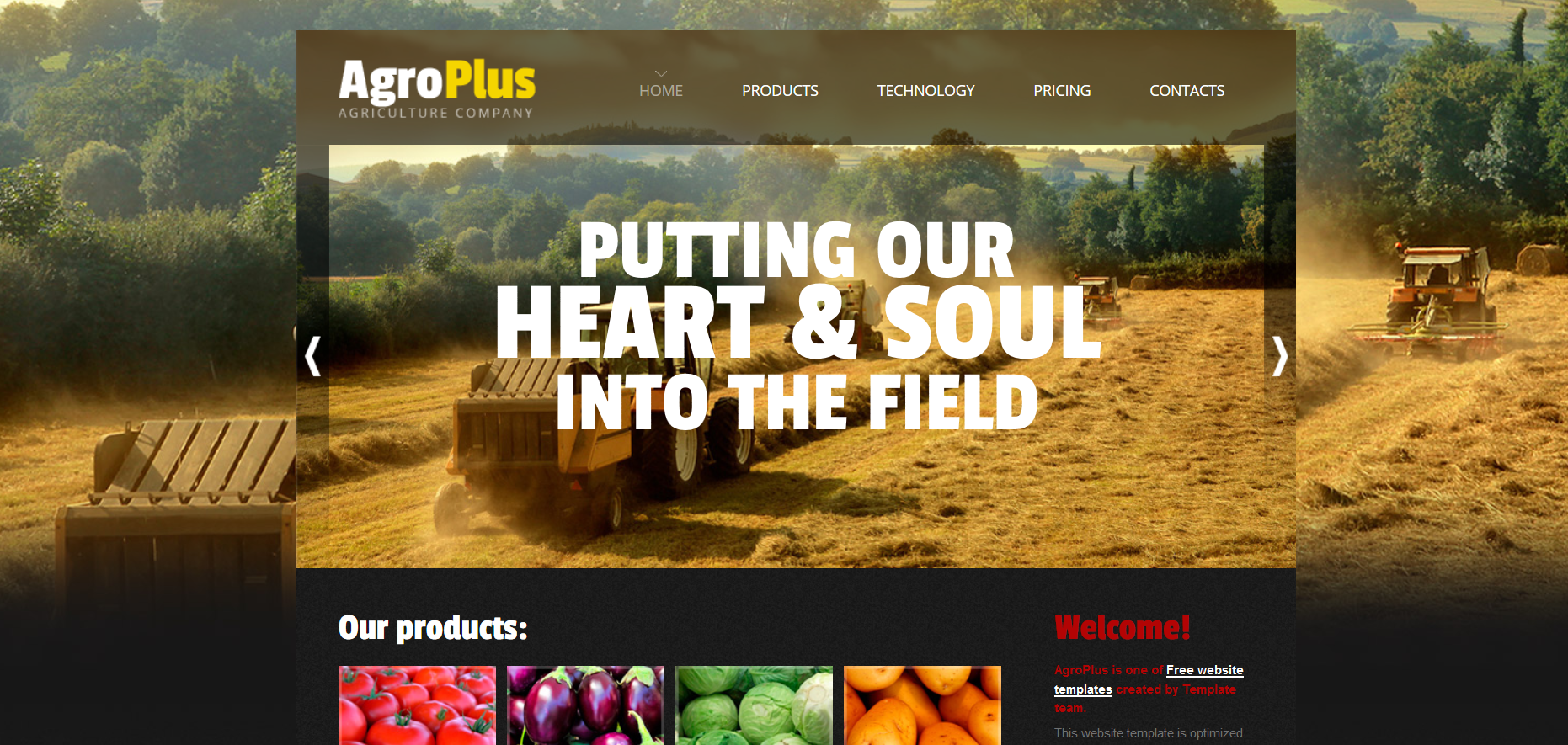 Шаблон сайта Кухня №63