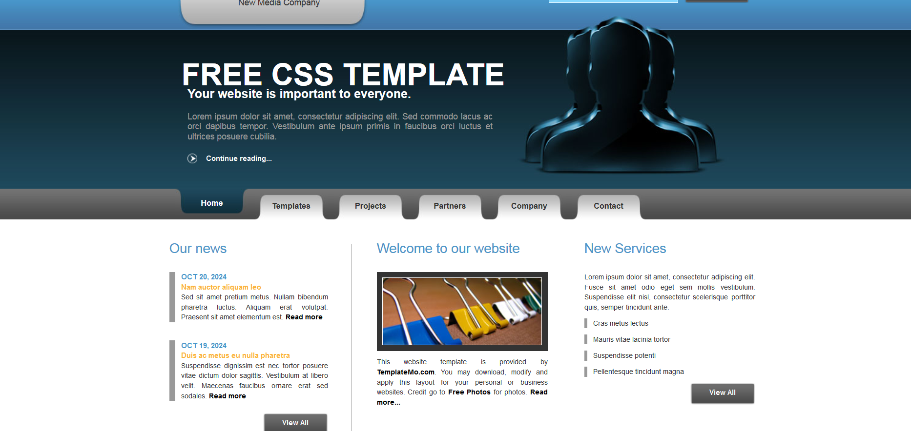 Шаблон сайта Веб №486